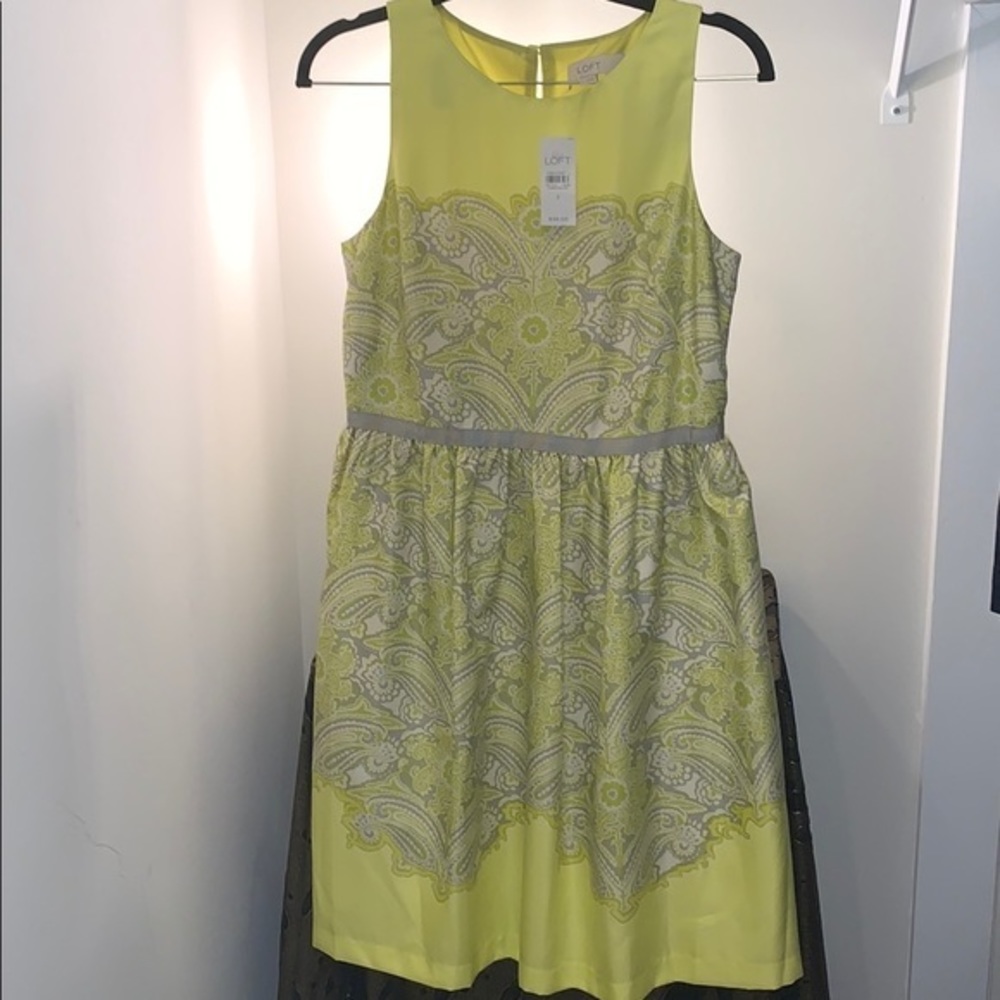 NWT Ann Taylor LOFT Dress
